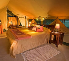 Governors Camp in Kenya