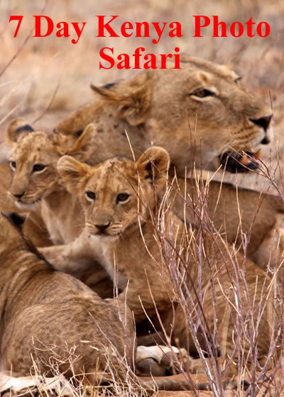 Kenya Photo Safaris