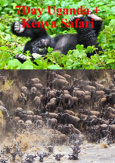 Kenya Uganda Safari
